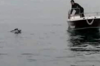 Balıkçı Ağlarına Takılan Martının İmdadına Polis Yetişti