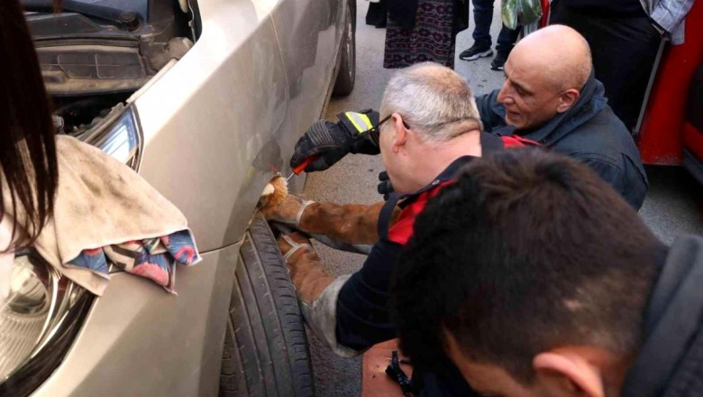 Otomobilin motor kısmına sıkışan kediyi itfaiye kurtardı