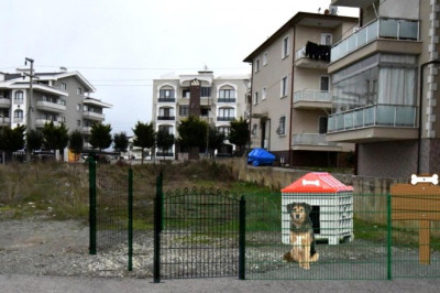 Sokak hayvanları için özel proje