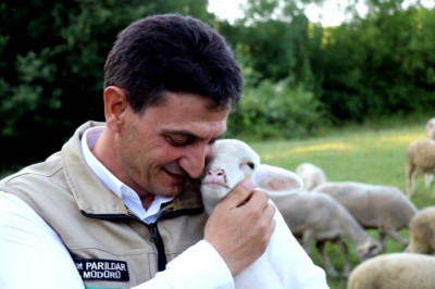 YALOVA KIVIRCIĞININ TESCİLİNDE SONA YAKLAŞILDI