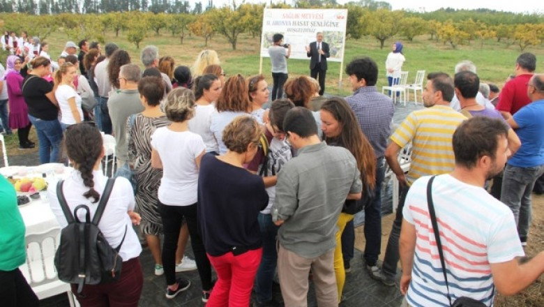 Yalova'da Aronya Hasat Şenliği