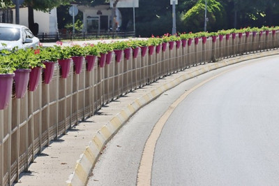 YALOVA’NIN DÖRT BİR YANI ÇİÇEK AÇTI