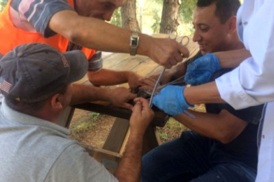 Yaralı Balıkçıl Hayata Döndürüldü