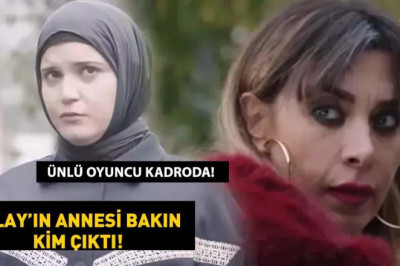 Kızılcık Şerbeti'nin Sevtap'ı Neslihan Yeldan kimdir? Nilay'ın annesini oynayan Neslihan Yeldan hakkında merak edilenler!