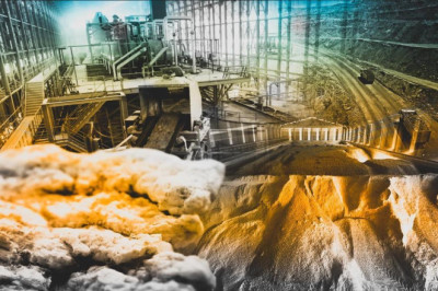 Borda 2024'te satış rekoru kırıldı