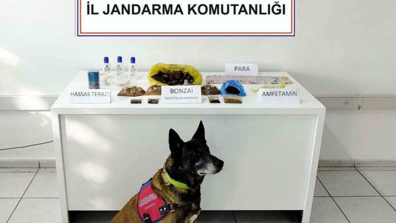 Muğla'da apart odasındaki uyuşturucuyu 'Uçak' buldu; 1 tutuklama