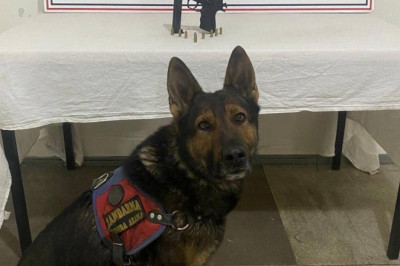 Bingöl’de kaçakçılık operasyonları