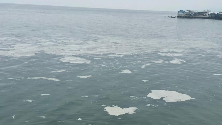 Mudanya'yı müsilaj sardı