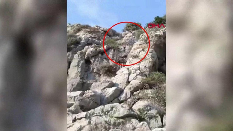 Nergis toplamak isteyen çocuklar dağda mahsur kaldı