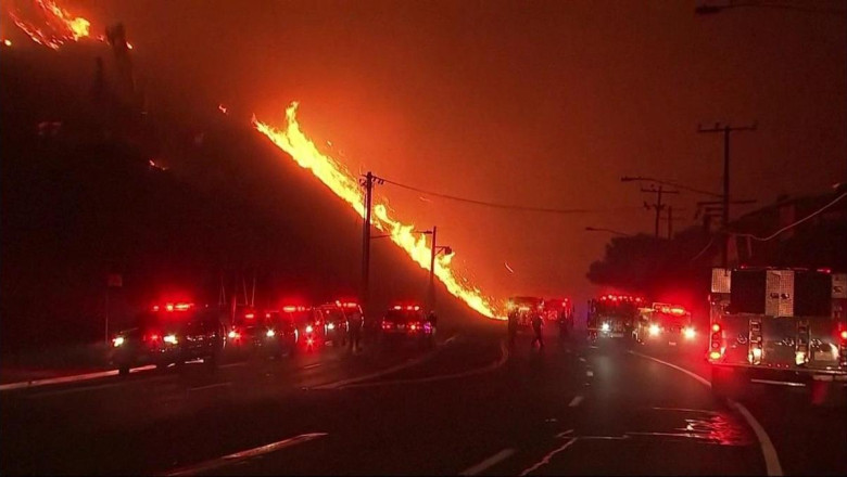 ABD'deki orman yangını 1. haftasında