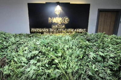 3 katlı binada kenevir yetiştirip uyuşturucu imal eden 5 kişiye gözaltı