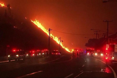 ABD'de sigorta şirketleri ne yapacak?