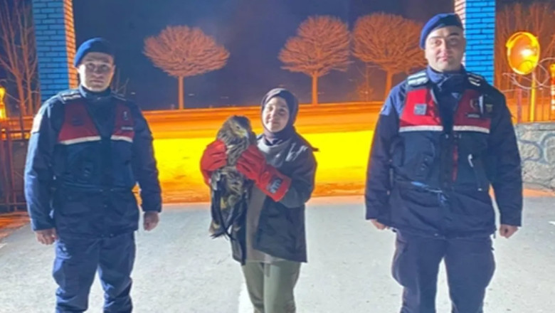 Eskişehir'de yaralı kızıl şahin tedaviye alındı