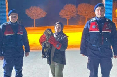 Eskişehir'de yaralı kızıl şahin tedaviye alındı