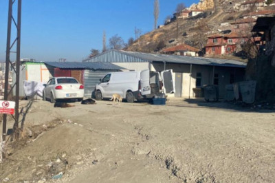 Ankara'da başıboş köpek sürüsünün saldırdığı kadın canını zor kurtardı