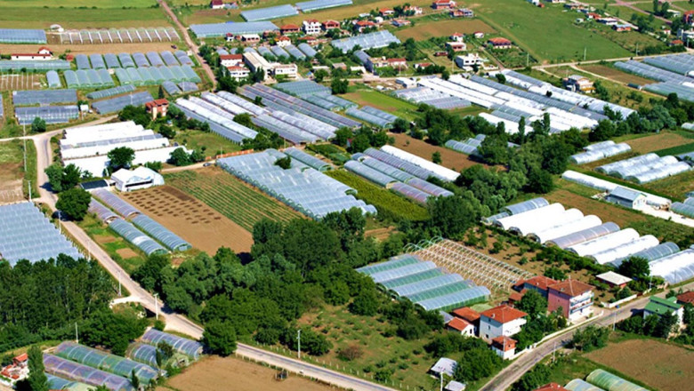 Çiçek Kenti Yalova