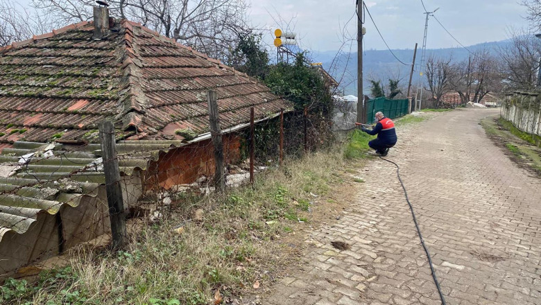 Yalova’da Kahverengi Kokarca Mücadelesine Devam Ediliyor