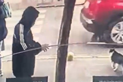 Yalova'da yere düşürülen dövizi alan şüpheli yakalandı