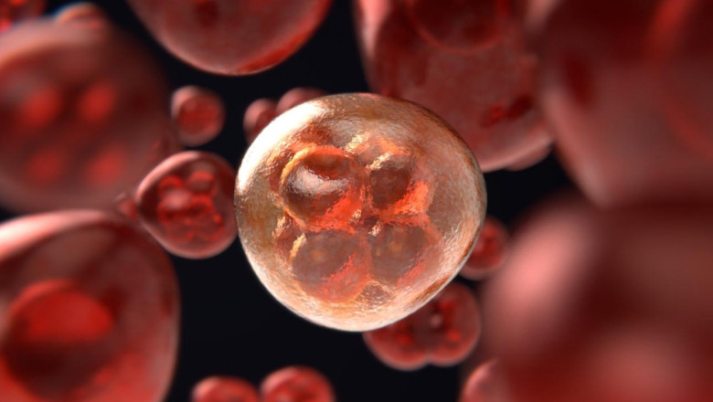 Kent Konseyi ve Uzmanlar Hastanesi’nden Örnek İşbirliği!