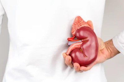 Böbreklerine İyi Bak!