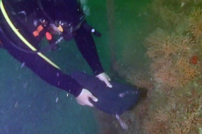 Marmara'da Müsilaj Tehlikesi Devam Ediyor