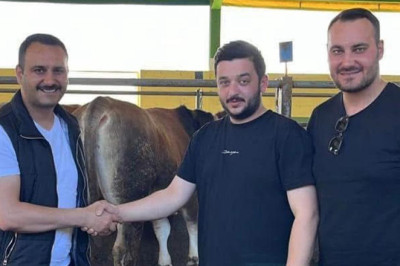 Güleç Kardeşler, Kurbanlık Satışlarına 6 Nisan’da Başlıyor