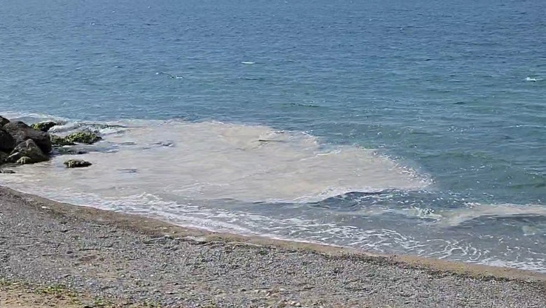 Yalova Kıyılarında Müsilaj Görüldü