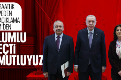 Sırrı Süreyya Önder: Cumhurbaşkanı ile görüşme olumlu geçti