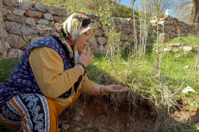 Tokat'ta türbenin toprağını yiyerek dua ediyorlar