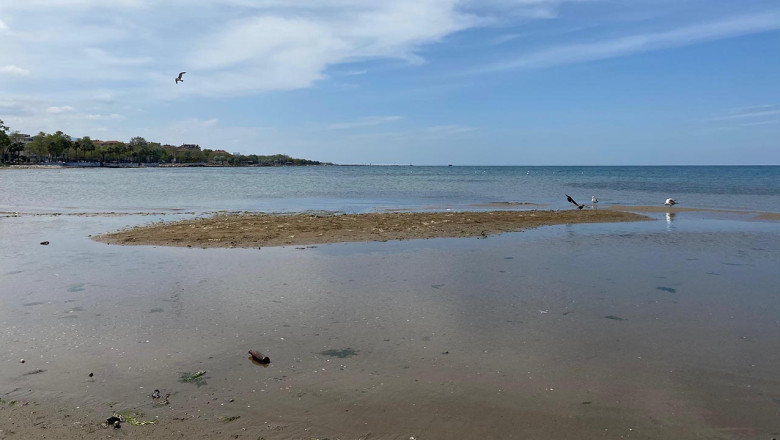 Yalova'da Deprem Sonrası Deniz Çekilmesi Tedirgin Etti