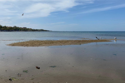 Yalova'da Deprem Sonrası Deniz Çekilmesi Tedirgin Etti