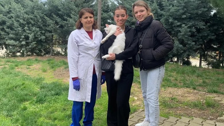 Çınarcık’ta sessiz dostlar yeni yuvalarına kavuştu
