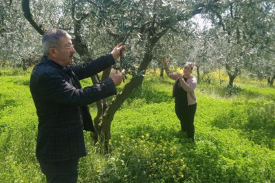 Zirai Don Sonrası Sahada Müdahale
