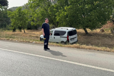 Bir Arının Yaptığına Bak... Yüzlerce Kişiyi Mağdur Etti