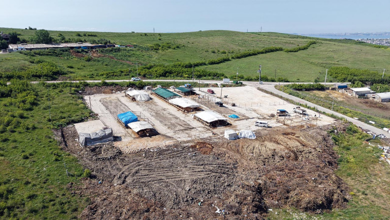 Yalova Belediyesi Kurban Pazarı Hazır