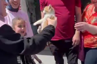 Motora Sıkışan Kediyi Vatandaşlar Kurtardı