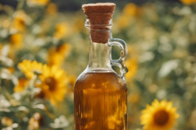 Belediye Açıkladı: Bitkisel Atık Yağ Getirene, Ayçiçek Yağı Hediye!