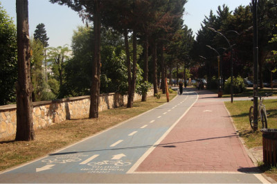 Yalova’da Sinek Sorunu Baş Gösterdi!