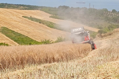 Yalova’da Biçerdöver Hasatları Sıkı Denetim Altında