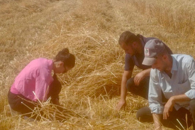 Yalova’da Dane Kaybına Karşı Sıkı Denetim