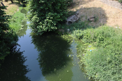 Yalova’da Dere Değil, Dert Akıyor: Adnan Menderes Mahallesi İsyanda