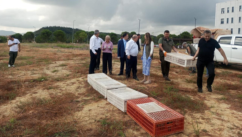 Keklikler Doğaya Salındı