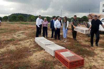 Keklikler Doğaya Salındı