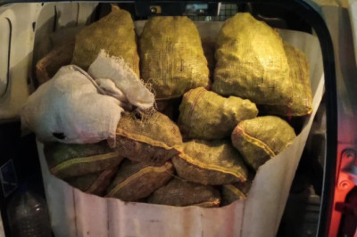 Armutlu’da 500 Kilo Kaçak Midye Ele Geçirildi