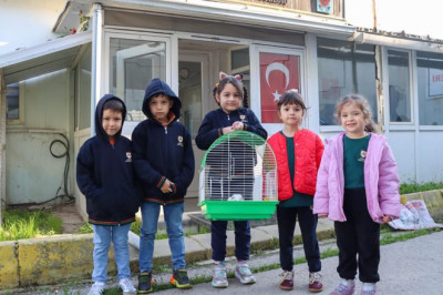 Ginepig Kısa Sürede Sahiplendirildi