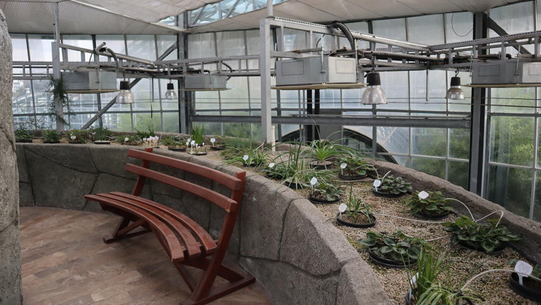 Yalova Geofit Bahçesi’nde Genetik Hazineler Koruma Altında