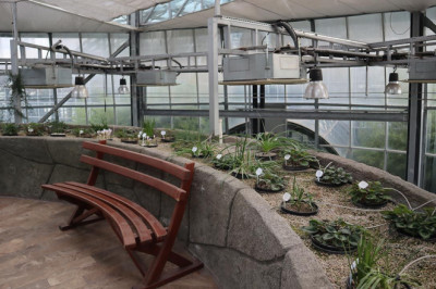 Yalova Geofit Bahçesi’nde Genetik Hazineler Koruma Altında