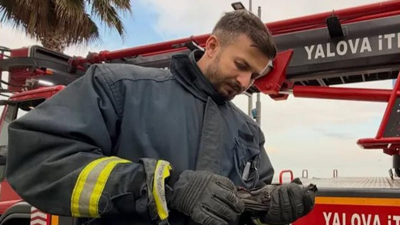 Ağaçta Mahsur Kalan Yaralı Karga İçin İtfaiye Seferber Oldu