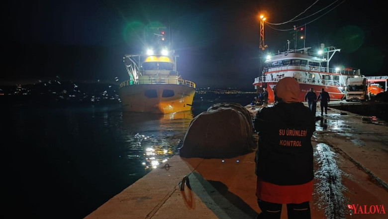 113.805 Kilogram Hamsi Karaya Çıkarıldı