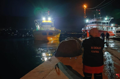 113.805 Kilogram Hamsi Karaya Çıkarıldı